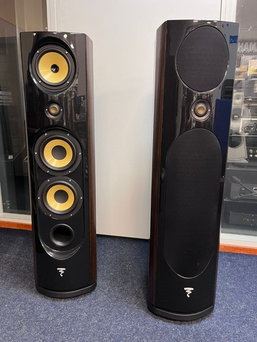 Focal spectral 40th - spectral,