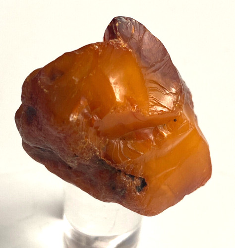 Bernstein butterscotch ca 4 - butterscotch,