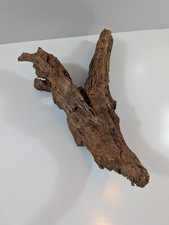 Mangrovenwurzel #33 (LBH ca