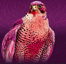 Southside Festivalpass 2025