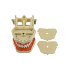 iDENTical Frasaco Typ Typodont