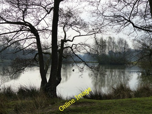 Foto 12x8 petworth park - 12x8,