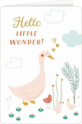 Hello little wonder - little,