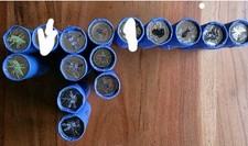 Diverse Rollen 5 Euro 2022 Bis