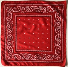 Ein roter paisley 21 - ein,