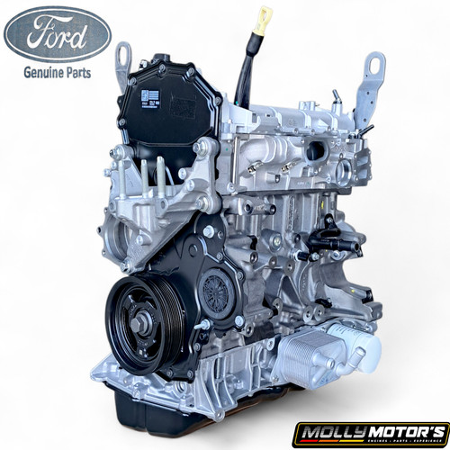 Original motor ford 0 - motor, 2.0