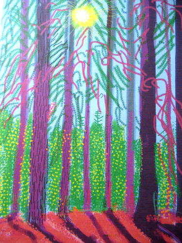 David hockney lithographie - hockney,