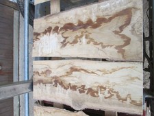 6 x Eschenholz, Esche