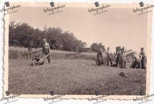 orginal Foto 2. Weltkrieg