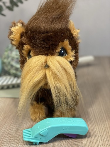 Hasbro hund frieseirspaß mit - hasbro,