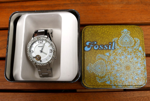 Fossil twist skeleton 1107 - fossil,