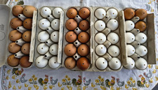 50 echte Hühnereier