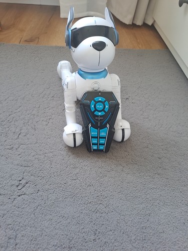 Elektro hund spaßig guten - elektro,