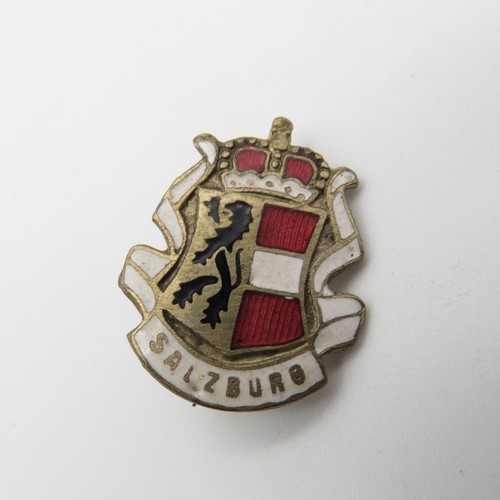 Vintage salzburg hutanstecker - vintage,