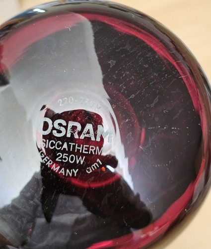 Osram siccatherm 250w - x,