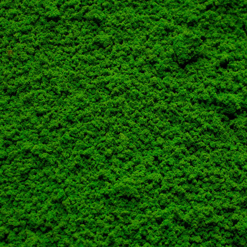 Grobherde waldfarn hellgrün - grobherde,