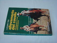 (Luciano Thesi) Pferdezucht