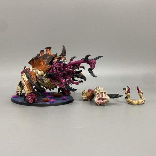 Exokrine haruspex tyraniden - 1,