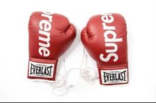Supreme Everlast Boxing Gloves