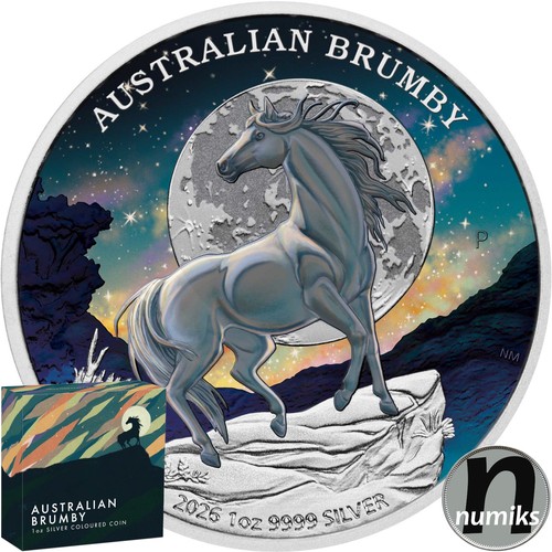 Australian brumby wildpferd - wildpferd,