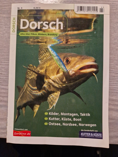 Dorsch alles über pilken - dorsch,