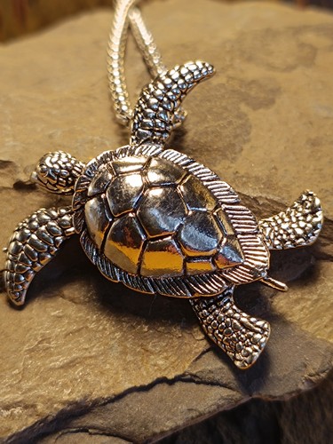 Meeres schildkröte hawaii - schildkröte,