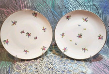 2 Kuchenteller von Kaestner