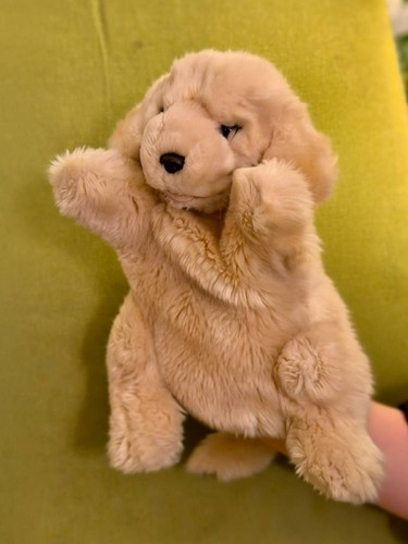 Wasi handpuppe hund aus - wasi,