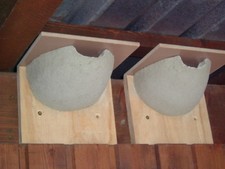 1 Mehlschwalben Nest Holzbeton