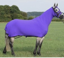 Belvoir Rug Company The