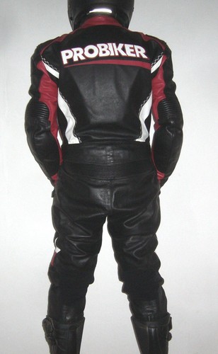 Probiker lederkombi 50 - lederkombi,