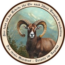 Kapitales Mufflon Muffelwild