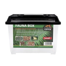 Terra exotica faunabox - faunabox, small