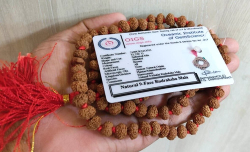 Mukhi rudraksha mala - mala, durga