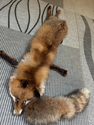 Echte vintage fuchsstola - fuchsstola, –