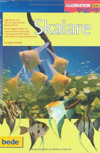 Faszination skalare zustand - faszination,