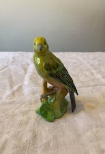 Potschappel Dresden Goldammer