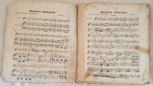 Pessina fantasia giovanna - fantasia,