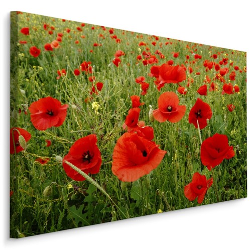 Canvas leinwand bilder - canvas,