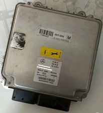 Motorsteuergerät A6519005901