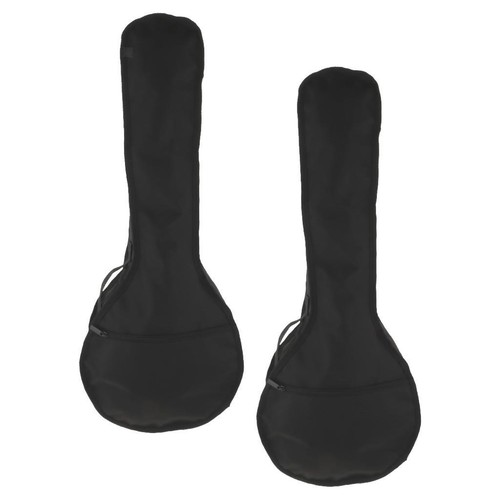 Acoustic mandoline case - 2,