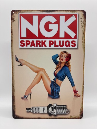Blechschild ngk 20x30cm - blechschild,
