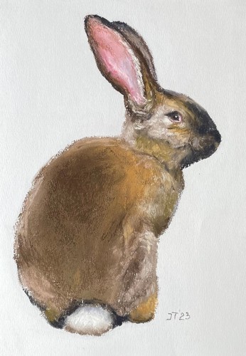 Kaninchen original pastell - kaninchen,