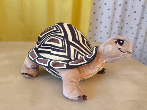 Schildkröte henrietta penny - -,