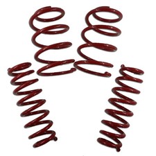 Sport Federn Tieferlegung