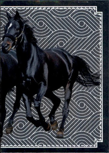 Panini pferde meine - panini,