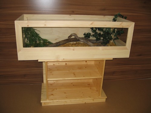Schildkröten terrarium - schildkröten,