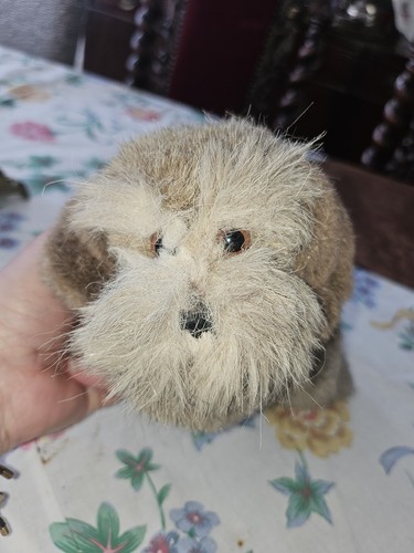 Seltener steiff airedale - seltener,