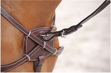 Dyon gekreuztes Vorderzeug mit Martingal