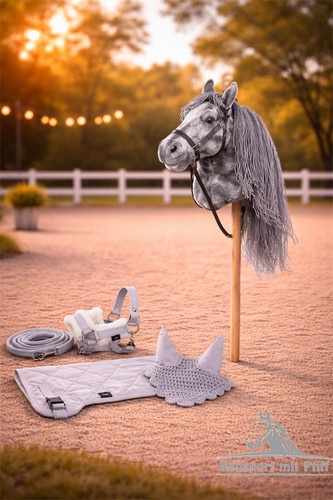 Hobby horse - hobby,